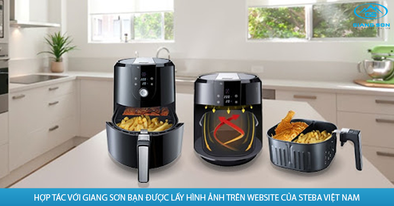 HỢP TÁC VỚI GIANG SƠN BẠN ĐƯỢC LẤY HÌNH ẢNH TRÊN WEBSITE CỦA STEBA VIỆT NAM