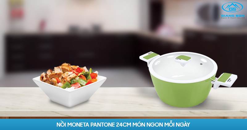 Nồi MONETA PANTONE 24CM Món ngon mỗi ngày