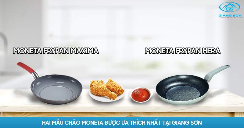 Thương hiệu MONETA tại Việt Nam